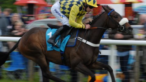 A day at the Races….with Sticky Toffee Pudding!