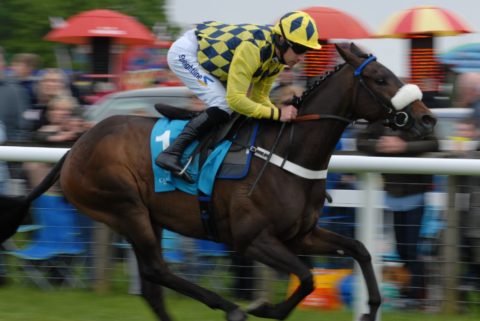 A day at the Races….with Sticky Toffee Pudding!